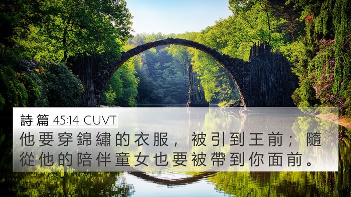 詩 篇 45:14 CUVT Bible Verse Image