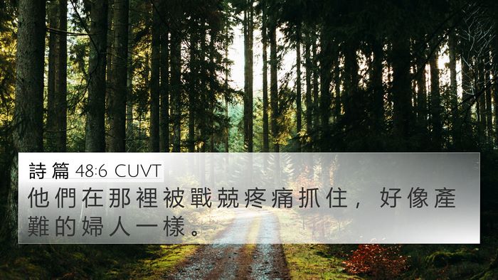 詩 篇 48:6 CUVT Bible Verse Image