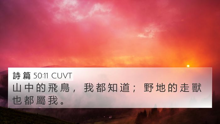 詩 篇 50:11 CUVT 4K Wallpaper - 山 中 的 飛 鳥 ， 我 都 知 道 ； 野 - 4K Wallpaper Bible Verse