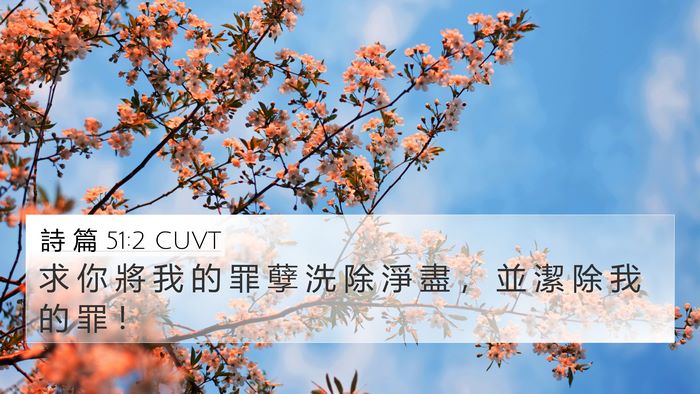 詩 篇 51:2 CUVT Bible Verse Image