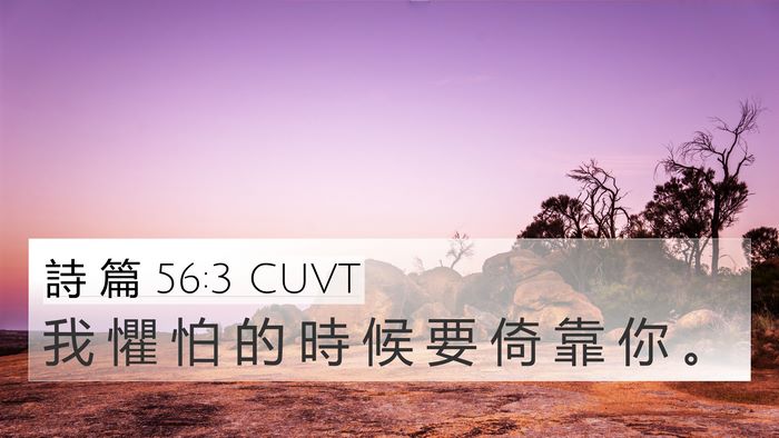 詩 篇 56:3 CUVT Bible Verse Image
