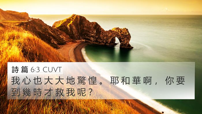 詩 篇 6:3 CUVT Bible Verse Image