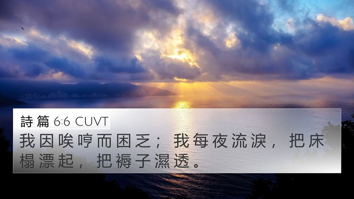 詩 篇 6:6 CUVT Bible Verse Image