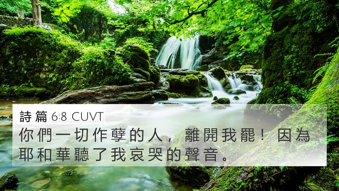 詩 篇 6:8 CUVT Bible Verse Image
