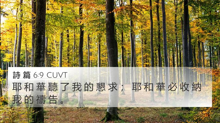詩 篇 6:9 CUVT Bible Verse Image