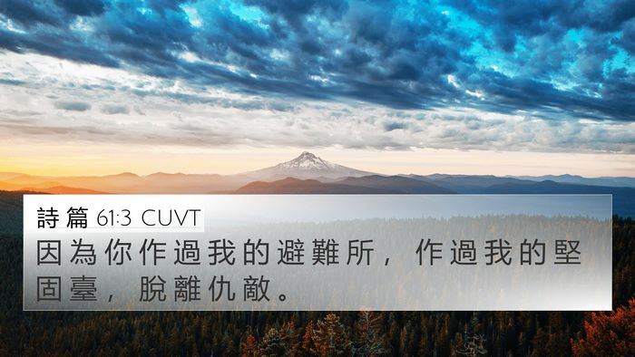 詩 篇 61:3 CUVT 4K Wallpaper - 因 為 你 作 過 我 的 避 難 所 ， 作 - 4K Wallpaper Bible Verse