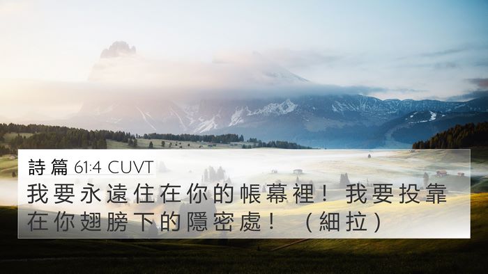 詩 篇 61:4 CUVT Bible Verse Image