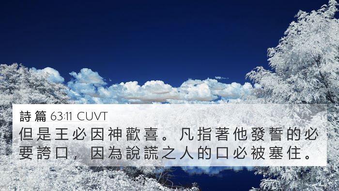 詩 篇 63:11 CUVT Bible Verse Image