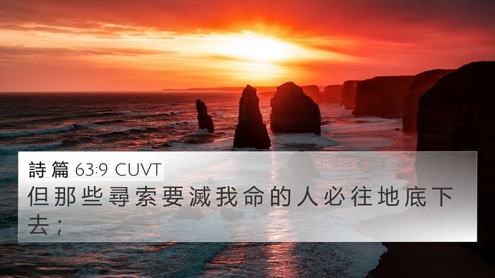 詩 篇 63:9 CUVT Bible Verse Image