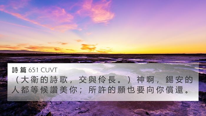 詩 篇 65:1 CUVT Bible Verse Image