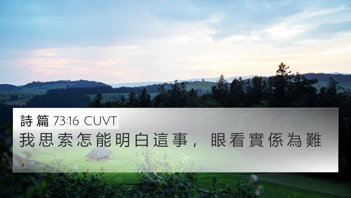 詩 篇 73:16 CUVT Bible Verse Image