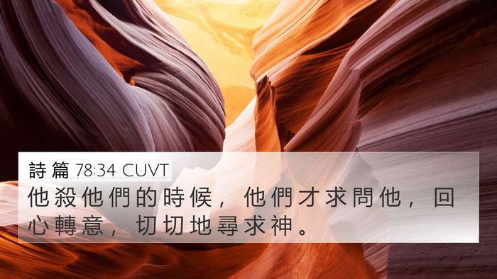 詩 篇 78:34 CUVT Bible Verse Image