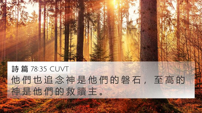 詩 篇 78:35 CUVT 4K Wallpaper - 他 們 也 追 念 神 是 他 們 的 磐 石 - 4K Wallpaper Bible Verse