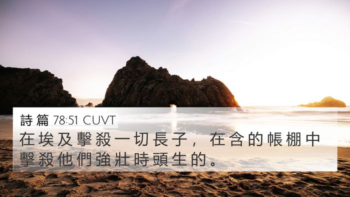 詩 篇 78:51 CUVT Bible Verse Image