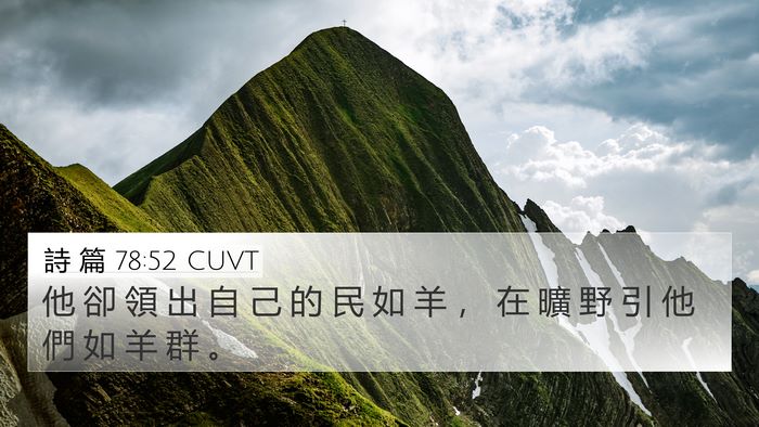 詩 篇 78:52 CUVT Bible Verse Image
