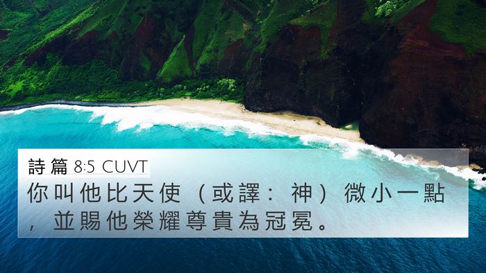 詩 篇 8:5 CUVT Bible Verse Image