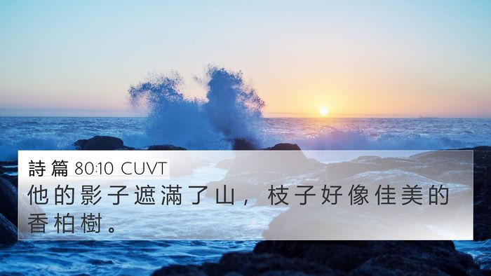 詩 篇 80:10 CUVT Bible Verse Image