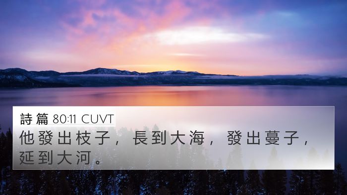 詩 篇 80:11 CUVT Bible Verse Image