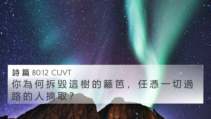 詩 篇 80:12 CUVT Bible Verse Image