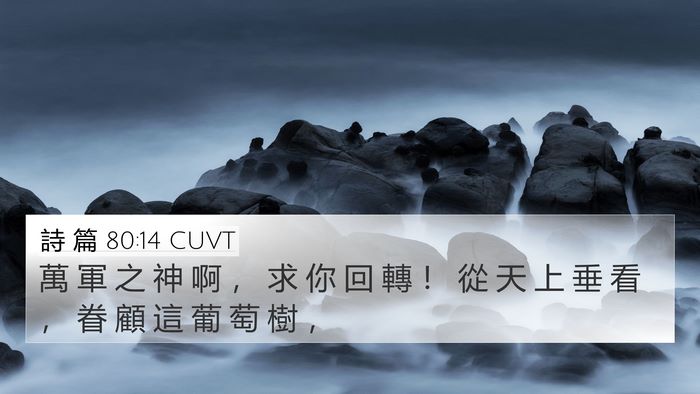 詩 篇 80:14 CUVT Bible Verse Image