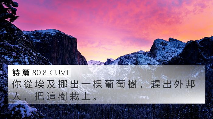 詩 篇 80:8 CUVT Bible Verse Image