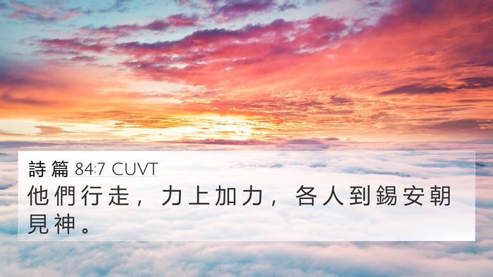 詩 篇 84:7 CUVT Bible Verse Image