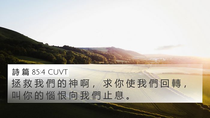 詩 篇 85:4 CUVT Bible Verse Image