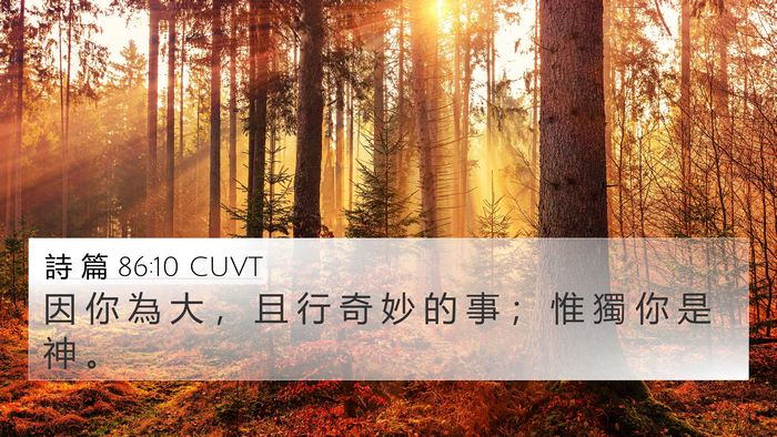 詩 篇 86:10 CUVT Bible Verse Image