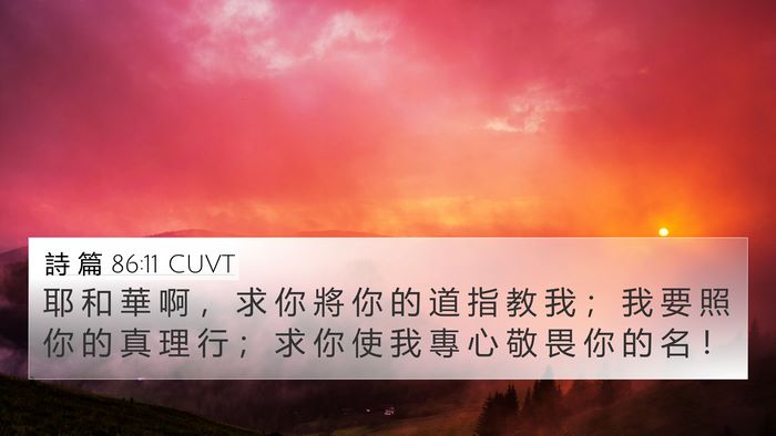 詩 篇 86:11 CUVT Bible Verse Image