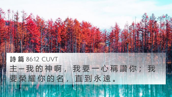 詩 篇 86:12 CUVT Bible Verse Image