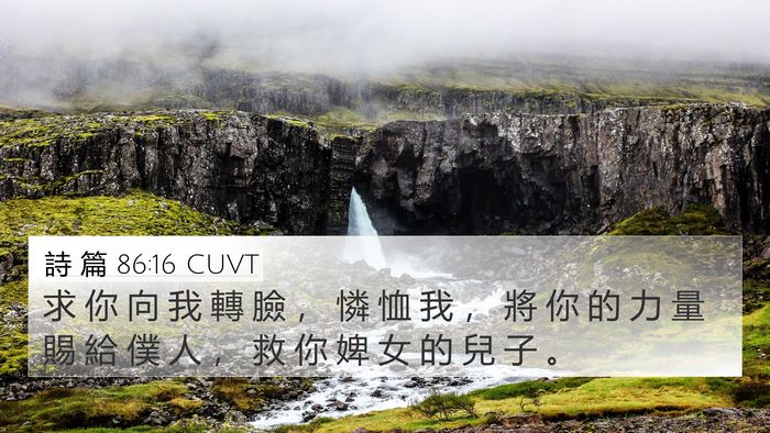 詩 篇 86:16 CUVT 4K Wallpaper - 求 你 向 我 轉 臉 ， 憐 恤 我 ， 將 - 4K Wallpaper Bible Verse