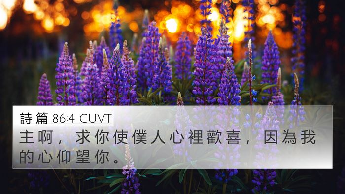 詩 篇 86:4 CUVT Bible Verse Image