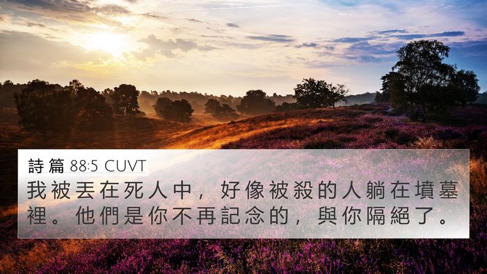 詩 篇 88:5 CUVT Bible Verse Image