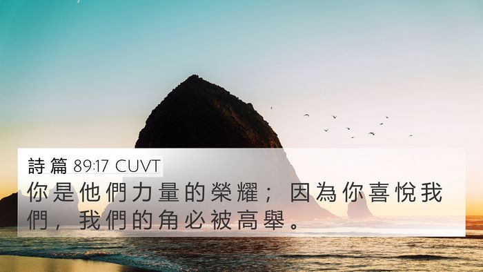 詩 篇 89:17 CUVT Bible Verse Image