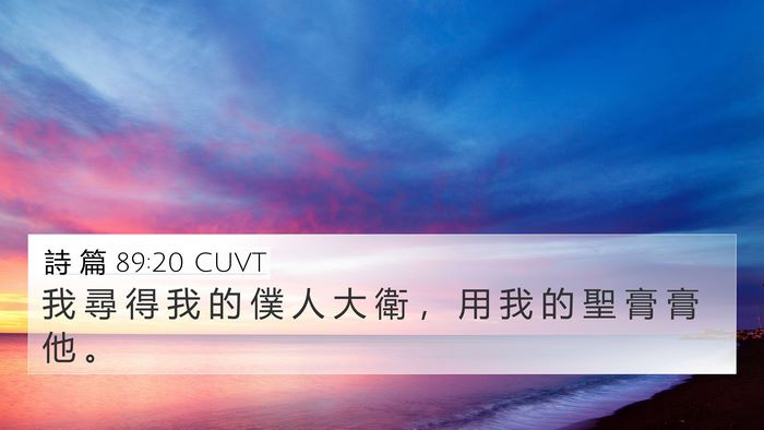 詩 篇 89:20 CUVT Bible Verse Image