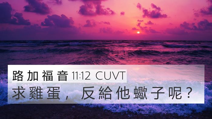 路 加 福 音 11:12 CUVT 4K Wallpaper - 求 雞 蛋 ， 反 給 他 蠍 子 呢 - 4K Wallpaper Bible Verse