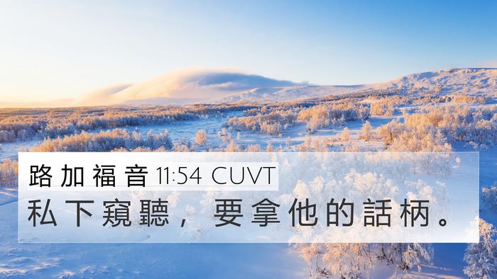 路 加 福 音 11:54 CUVT Bible Verse Image