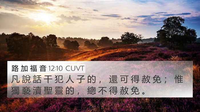路 加 福 音 12:10 CUVT Bible Verse Image