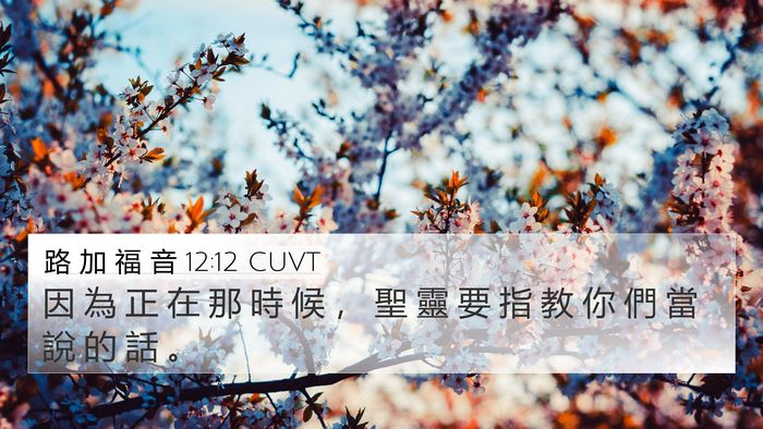 路 加 福 音 12:12 CUVT Bible Verse Image