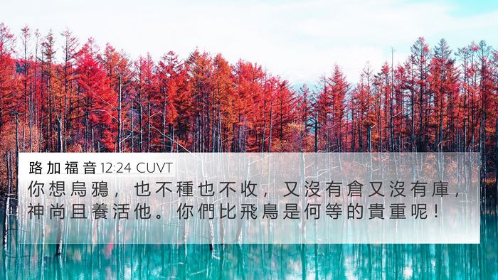 路 加 福 音 12:24 CUVT Bible Verse Image