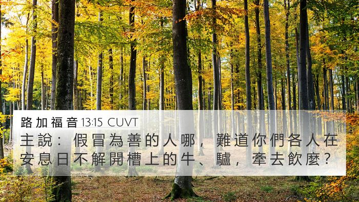 路 加 福 音 13:15 CUVT Bible Verse Image