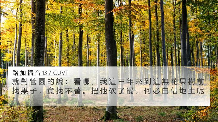 路 加 福 音 13:7 CUVT Bible Verse Image