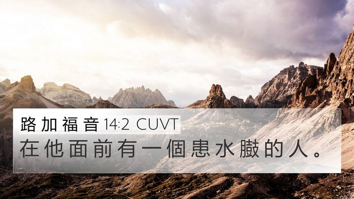 路 加 福 音 14:2 CUVT 4K Wallpaper - 在 他 面 前 有 一 個 患 水 臌 的 人 - 4K Wallpaper Bible Verse