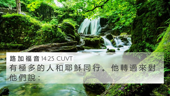 路 加 福 音 14:25 CUVT Bible Verse Image