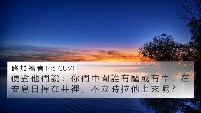 路 加 福 音 14:5 CUVT Bible Verse Image