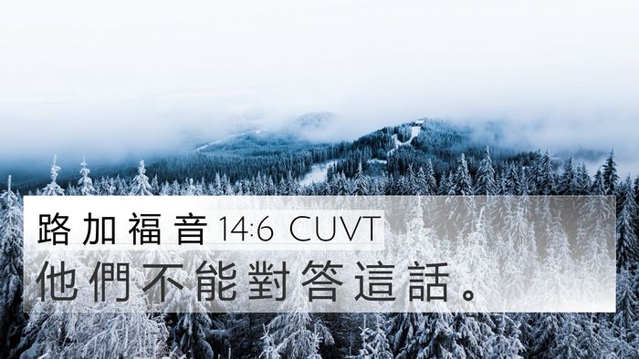 路 加 福 音 14:6 CUVT Bible Verse Image