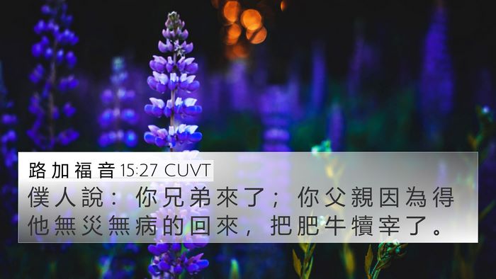路 加 福 音 15:27 CUVT 4K Wallpaper - 僕 人 說 ： 你 兄 弟 來 了 ； 你 父 - 4K Wallpaper Bible Verse