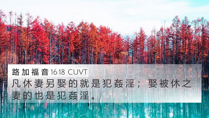 路 加 福 音 16:18 CUVT Bible Verse Image