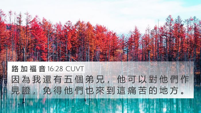 路 加 福 音 16:28 CUVT Bible Verse Image