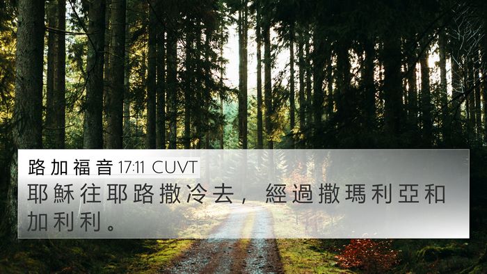 路 加 福 音 17:11 CUVT 4K Wallpaper - 耶 穌 往 耶 路 撒 冷 去 ， 經 過 撒 - 4K Wallpaper Bible Verse